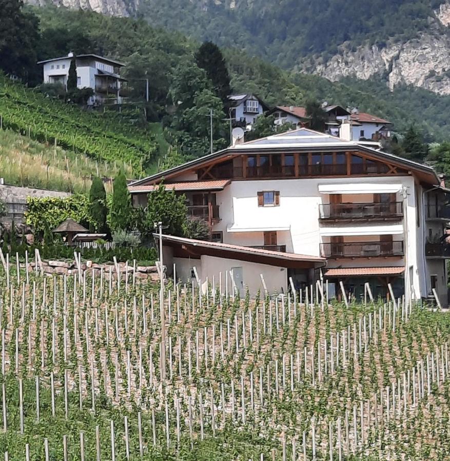 Apartmán Bertoldihof Cortaccia Exteriér fotografie